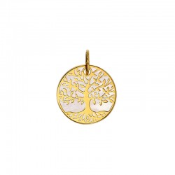 Pendentif serti clos